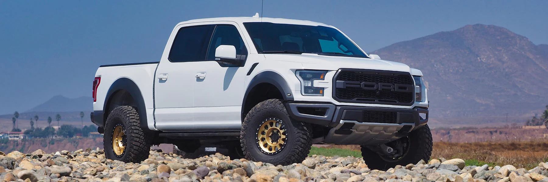 Billet Uniball Upper Control Arms UCA, For 2010-2020 Ford Raptor ...