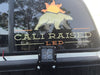 Bed Rail LED Pod Brackets Kit For Toyota Truck - Recon Recovery