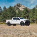 Fox Performance 2.0 Series 985-02-134 Front Coilover 0-2" Lift for 2019-2023 Silverado Sierra 1500 2/4WD - Recon Recovery